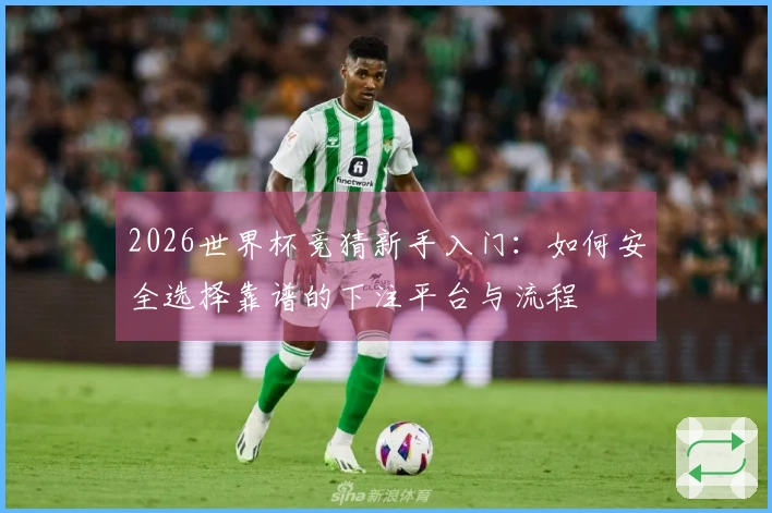 2026世界杯竞猜新手入门：如何安全选择靠谱的下注平台与流程