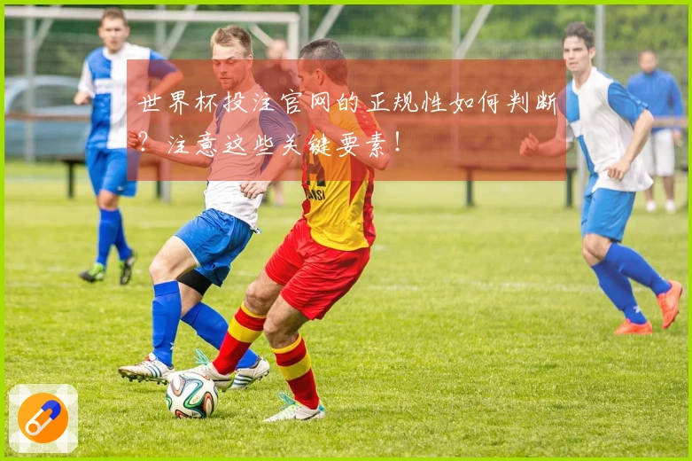 世界杯投注官网的正规性如何判断？注意这些关键要素！