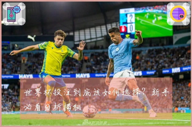 世界杯投注到底该如何选择?新手必看分析揭秘